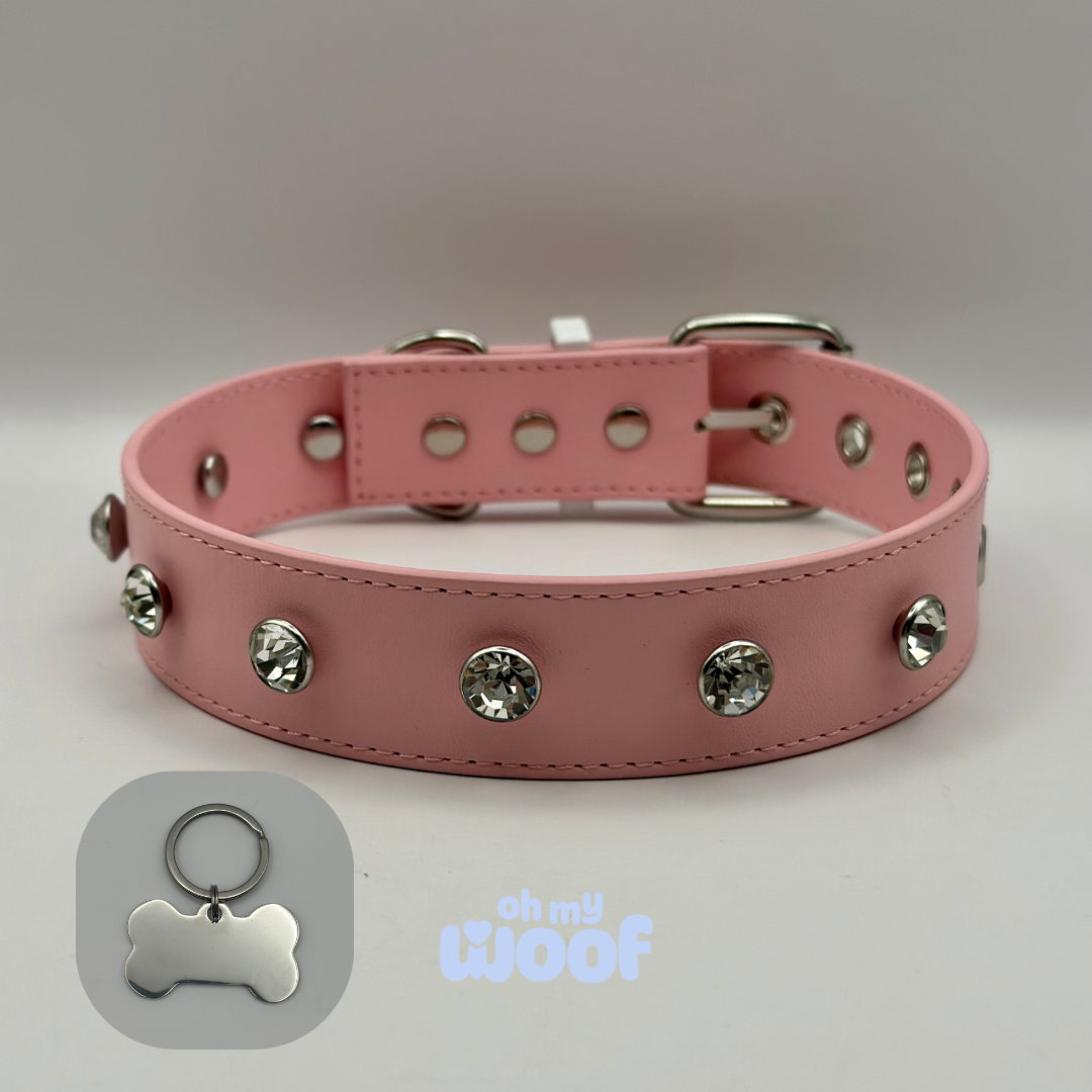 Glam Dog Collar + Dog Id