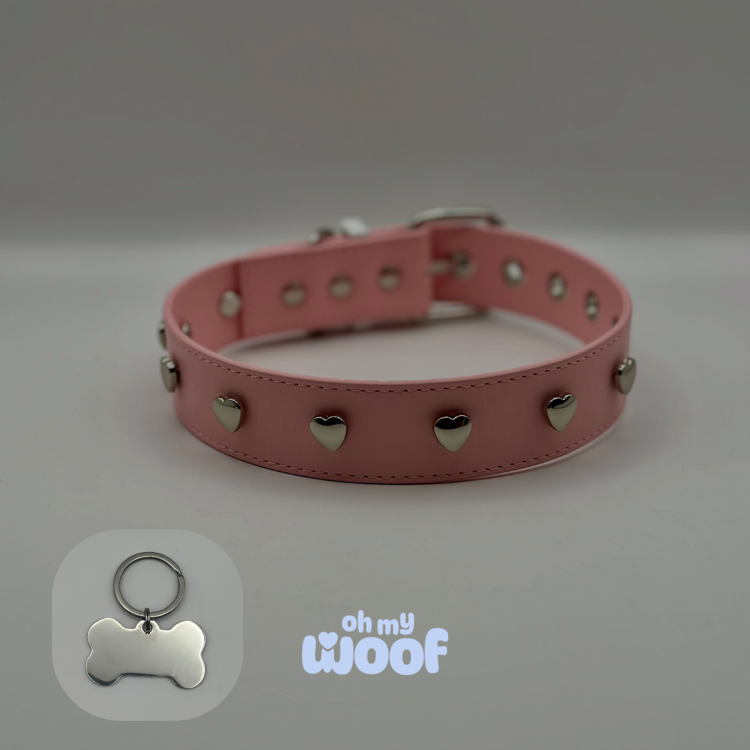 Sweetheart Dog Collar + Dog Id