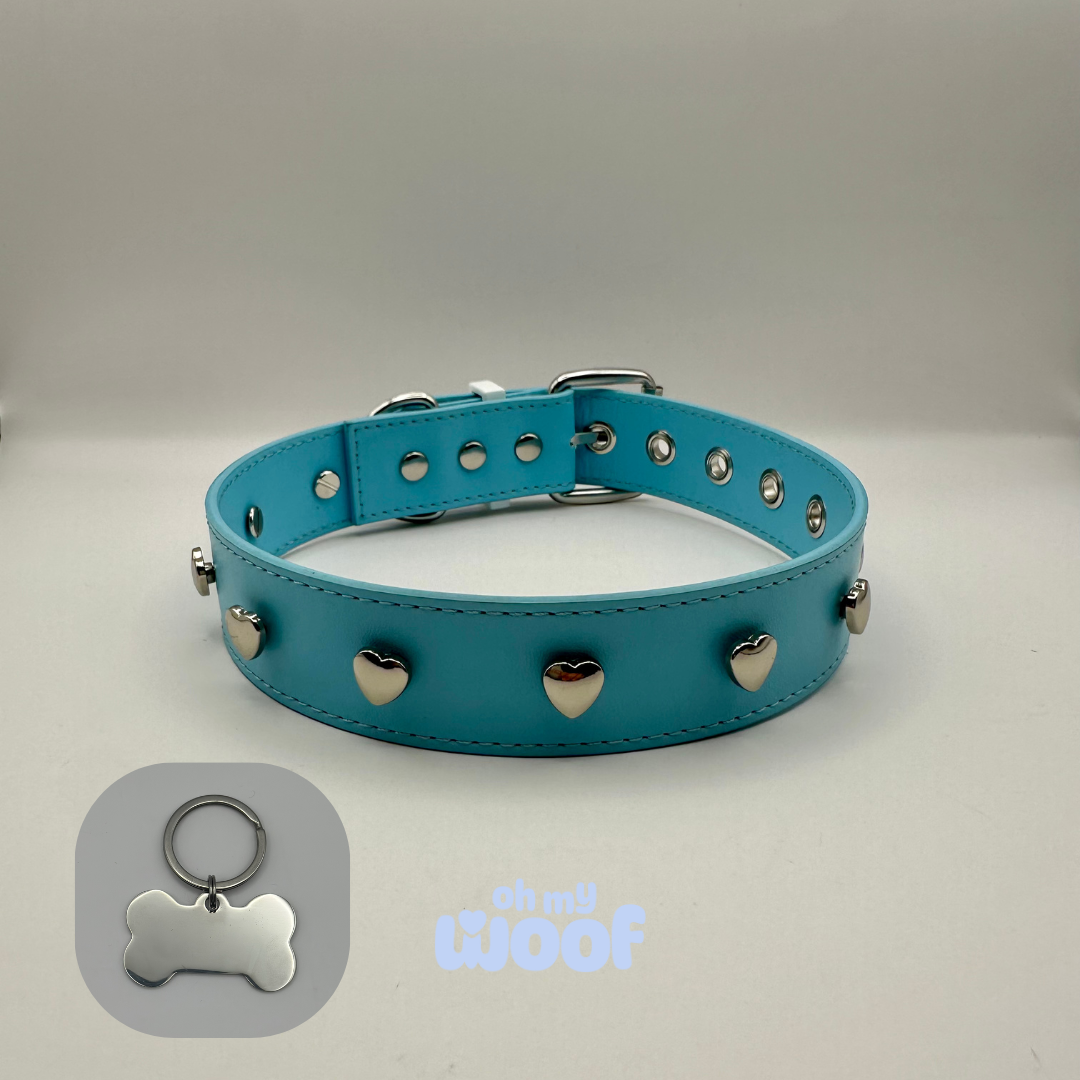 Sweetheart Dog Collar + Dog Id