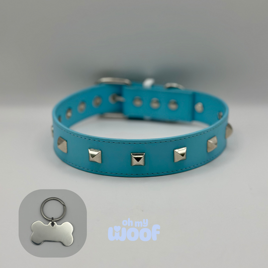 Rockstar Dog Collar + Dog Id