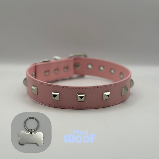 Rockstar Dog Collar + Dog Id