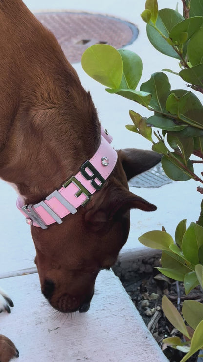 Glam Personalized Dog Collar