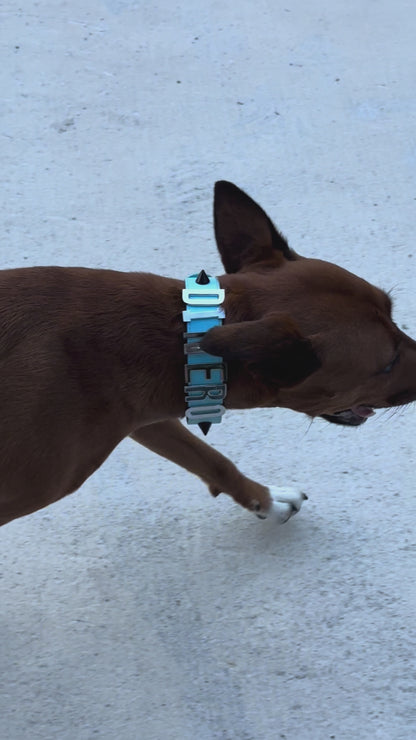 Rebel Personalized Dog Collar